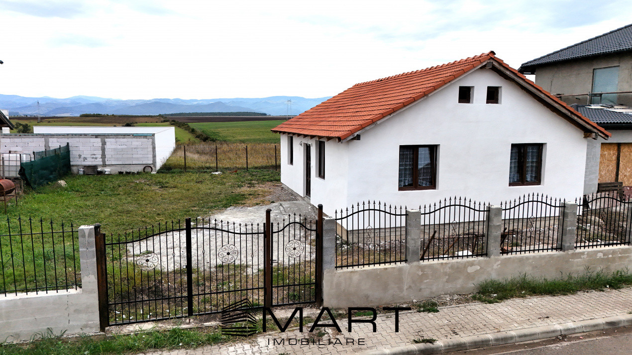 Casa 1 nivel 75mp Cartier Tineretului Sura Mica