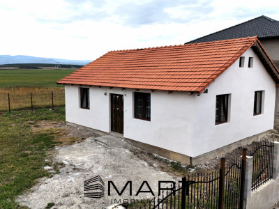 Casa 1 nivel 75mp Cartier Tineretului Sura Mica