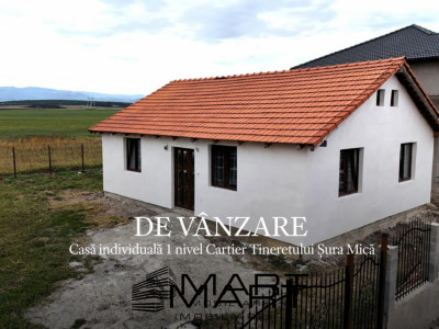 Casa 1 nivel 75mp Cartier Tineretului Sura Mica