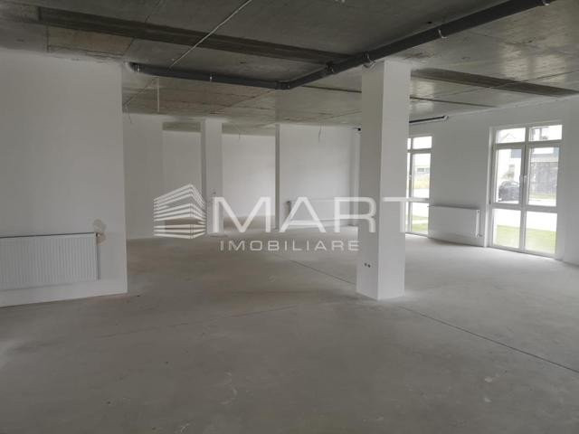 Spatiu comercial 229 mp Calea Surii Mici - Comision 0