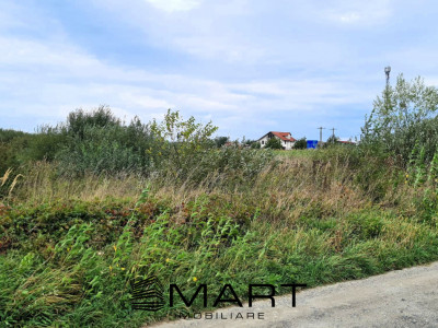 Teren extravilan 4800mp la intrare in Mohu