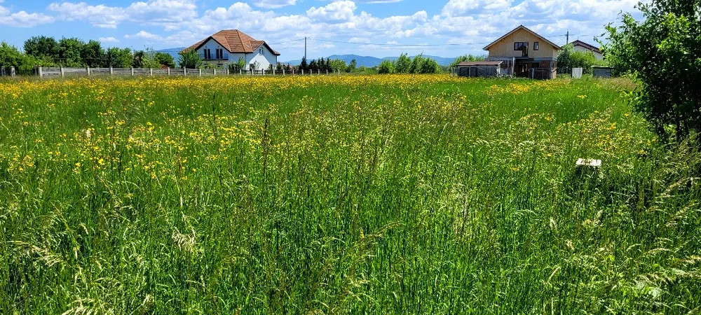 Teren Intravilan Podul Olt