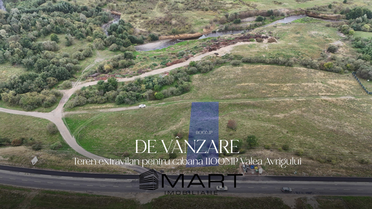 Teren 1100mp pe Valea Avrigului