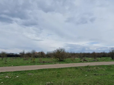 Teren Intravilan 800 mp Sanpetru