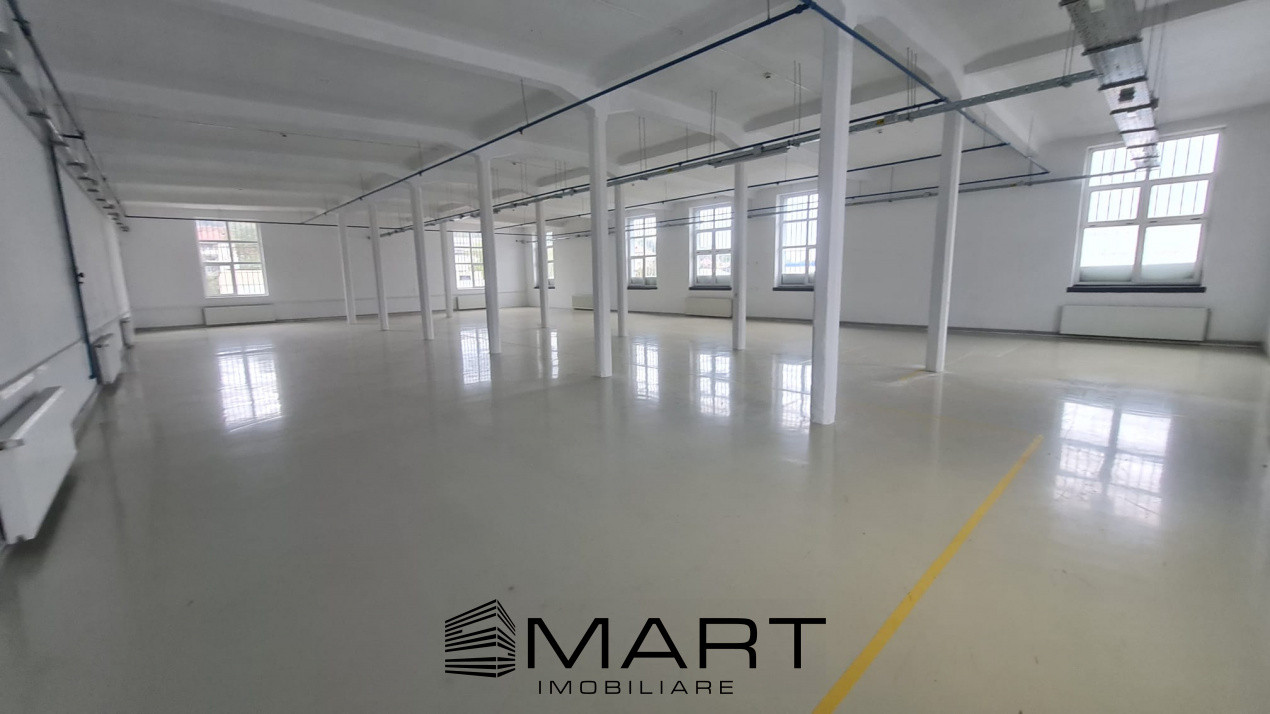 Spații de închiriat – Depozitare | Producție | Birouri Cisnadie