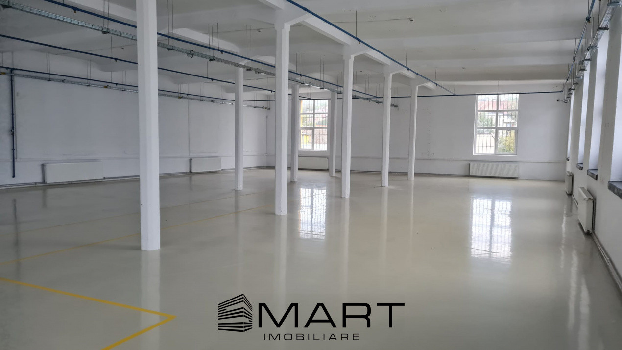 Spații de închiriat – Depozitare | Producție | Birouri Cisnadie