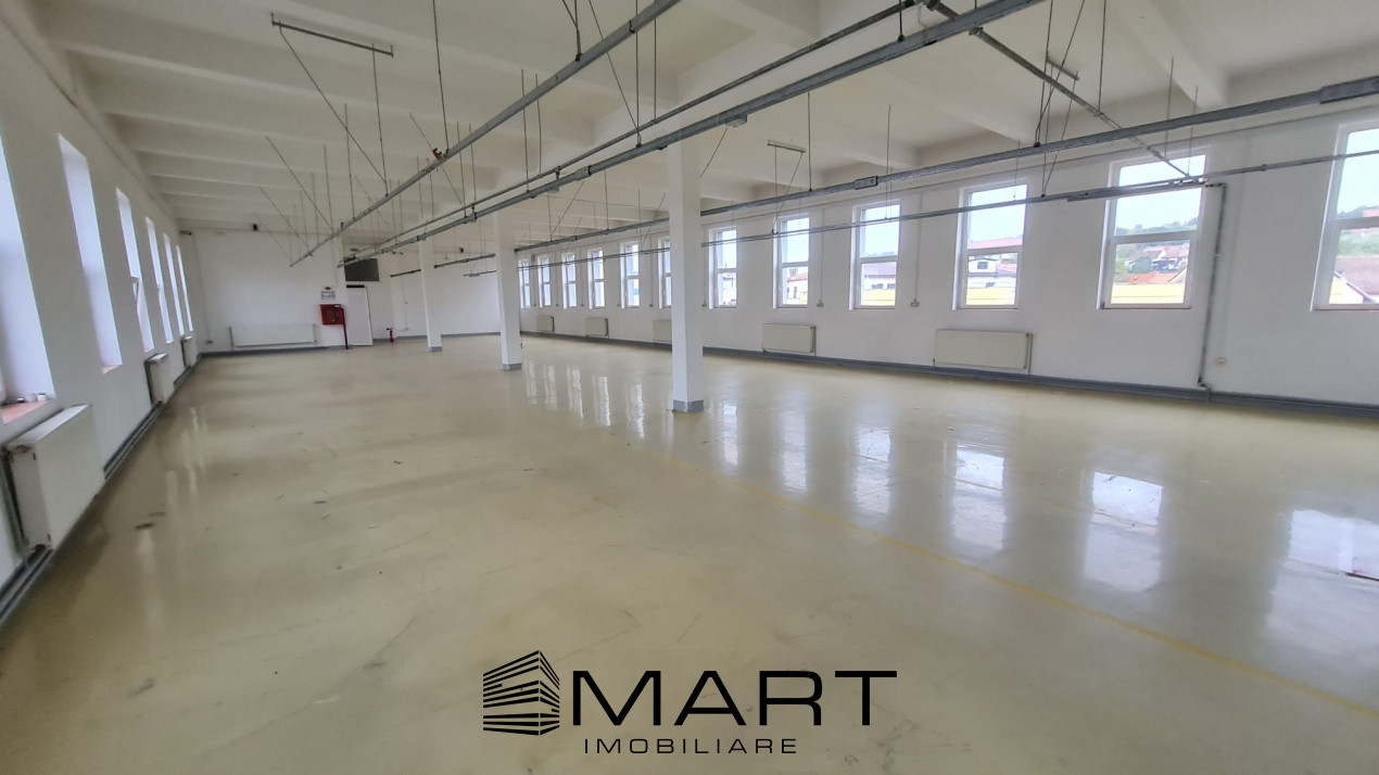 Spații de închiriat – Depozitare | Producție | Birouri Cisnadie
