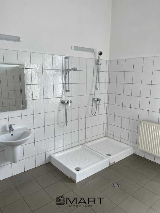 Spații de închiriat – Depozitare | Producție | Birouri Cisnadie