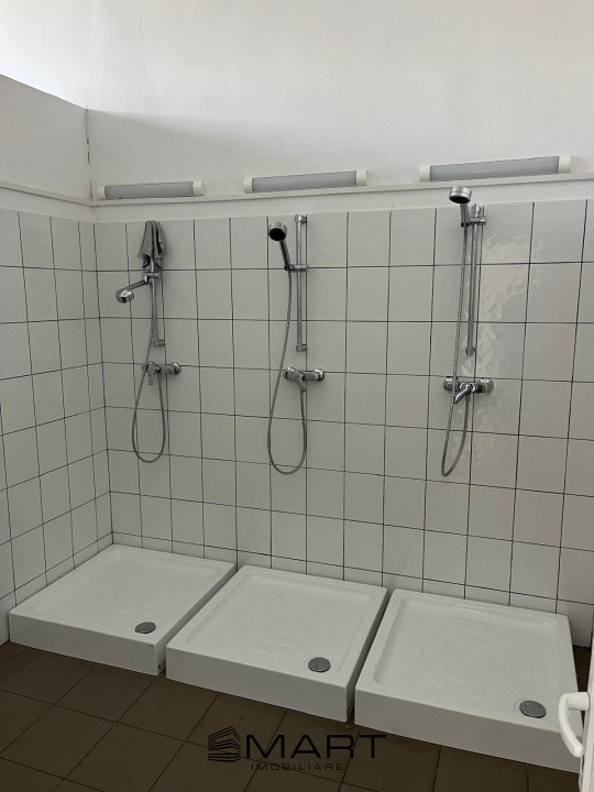 Spații de închiriat – Depozitare | Producție | Birouri Cisnadie