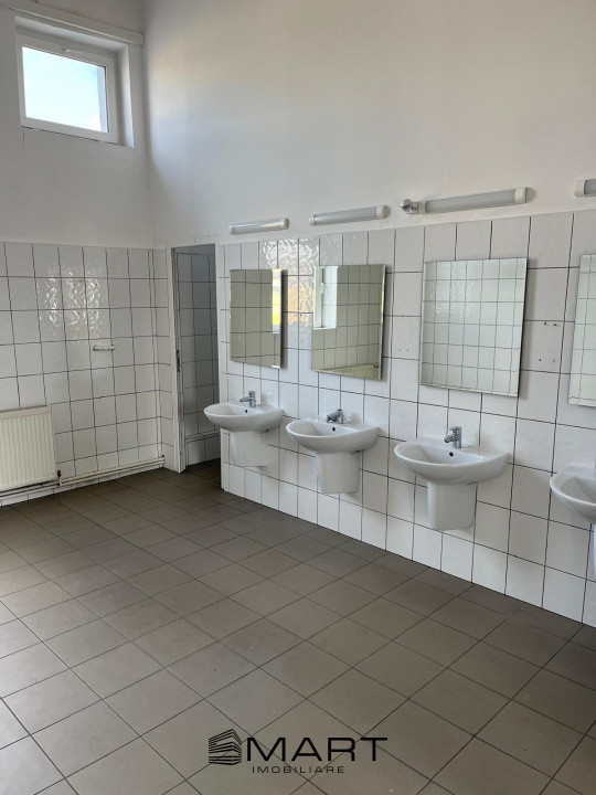 Spații de închiriat – Depozitare | Producție | Birouri Cisnadie