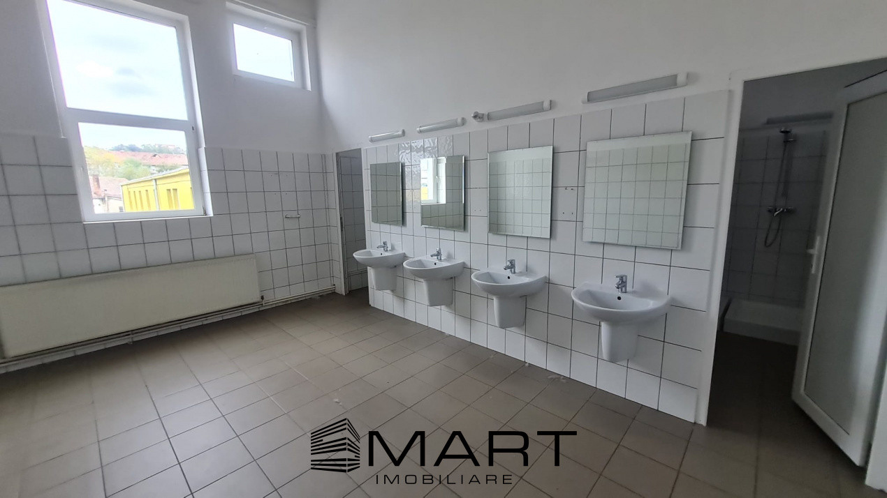 Spații de închiriat – Depozitare | Producție | Birouri Cisnadie