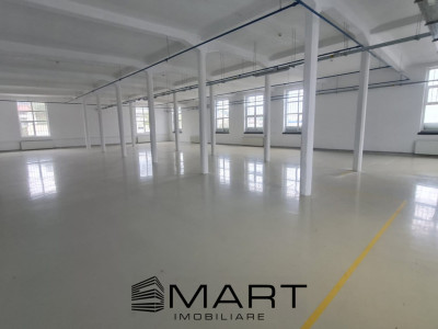 Spații de închiriat – Depozitare | Producție | Birouri Cisnadie