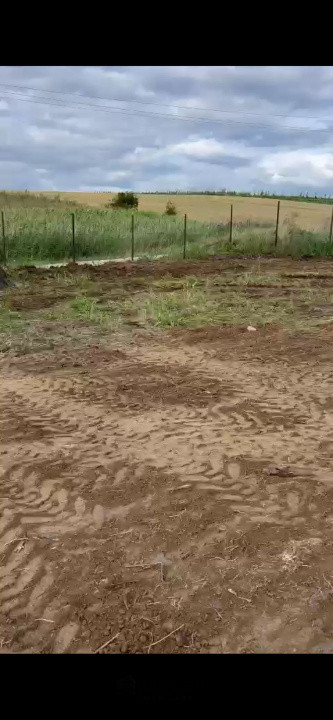 Teren Intravilan 550 mp Bod/Sanpetru