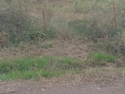Teren intravilan cu PUZ in Cisnadioara