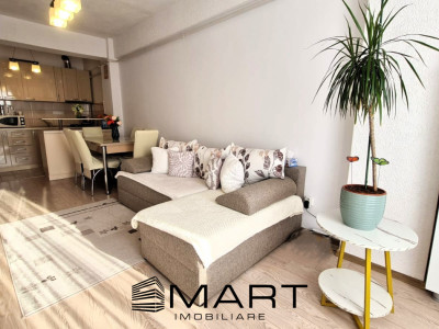Apartament 2 camere 45mp strada Doamna Stanca
