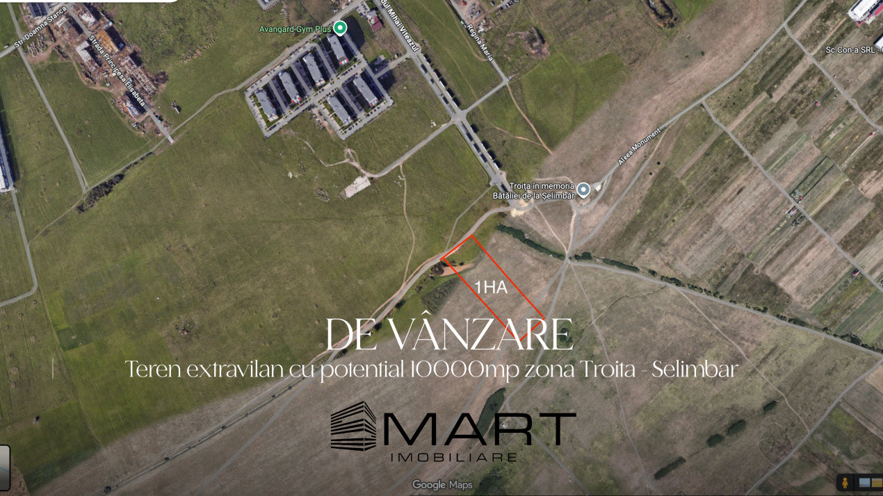 Teren extravilan 10000mp zona Mihai Viteazul - Avangarden