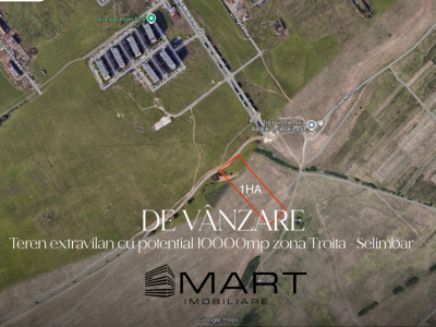 Teren extravilan 10000mp zona Mihai Viteazul - Avangarden