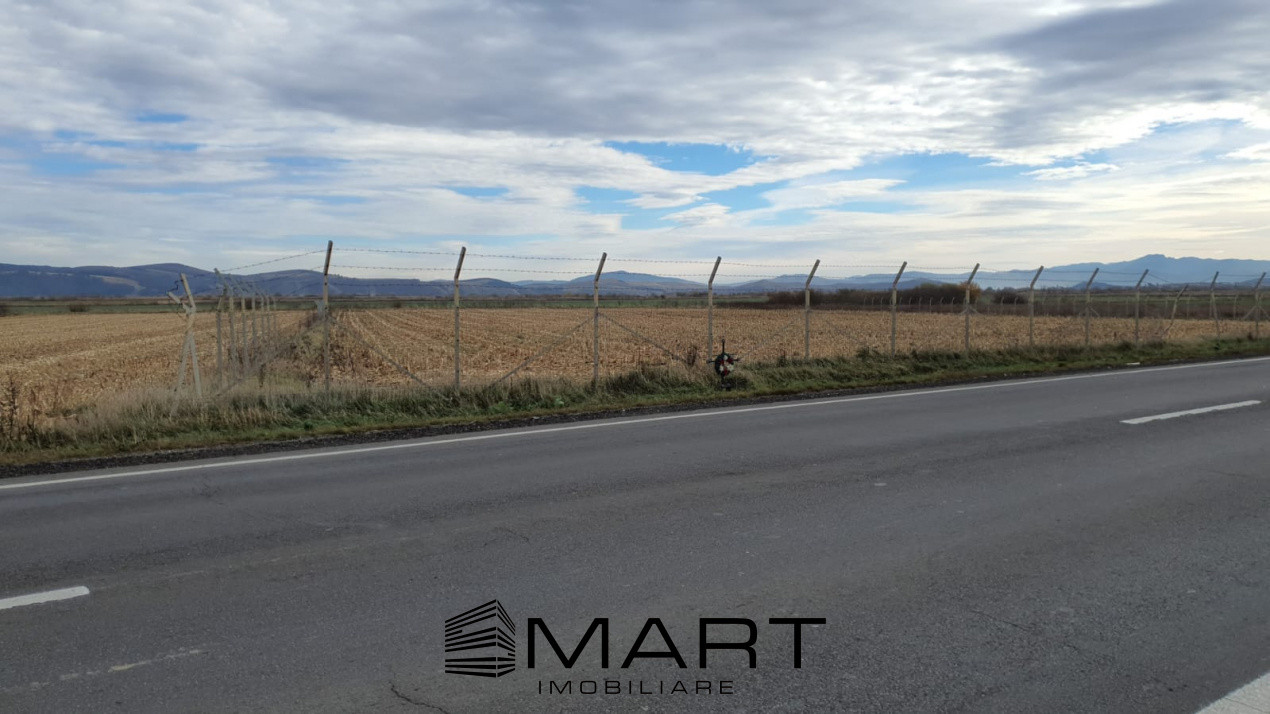 Teren intravilan Calea Feldioarei 