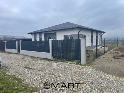 Casă modernă la cheie în Cărpiniș – tot confortul pe un singur nivel!