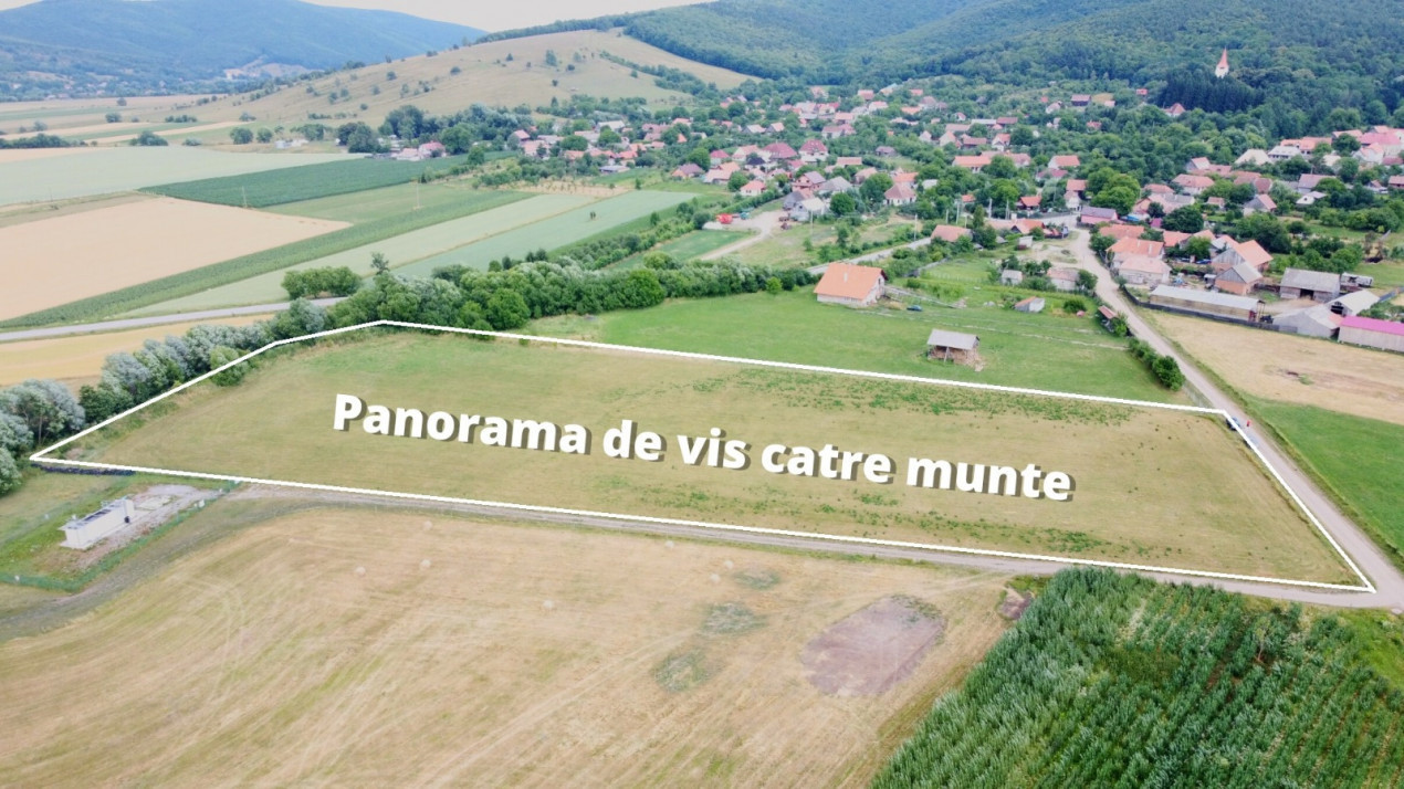 Teren Intravilan 500 mp Bicfalau