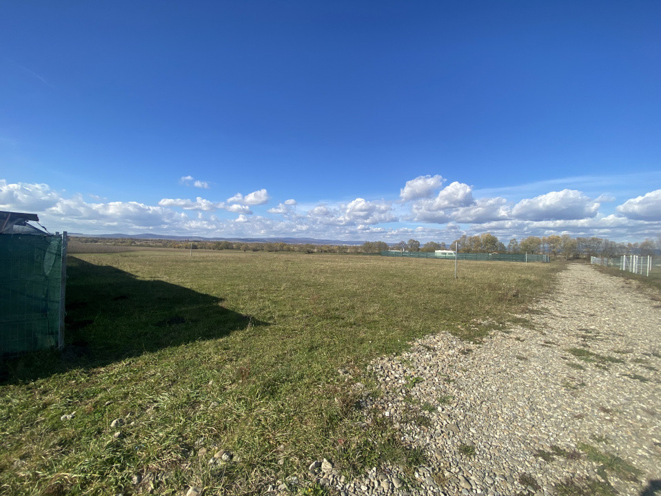 Teren Intravilan 1000 mp Bicfalau