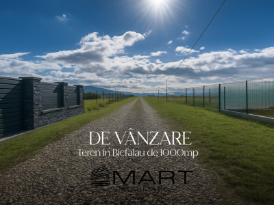 Teren Intravilan 1000 mp Bicfalau