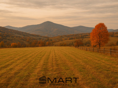 Teren intravilan zona Tocile
