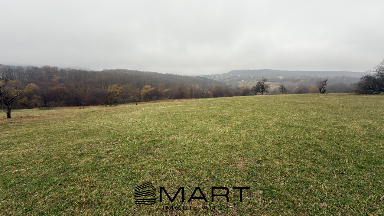 Teren spectaculos 3,5HA zona Cisnadioara