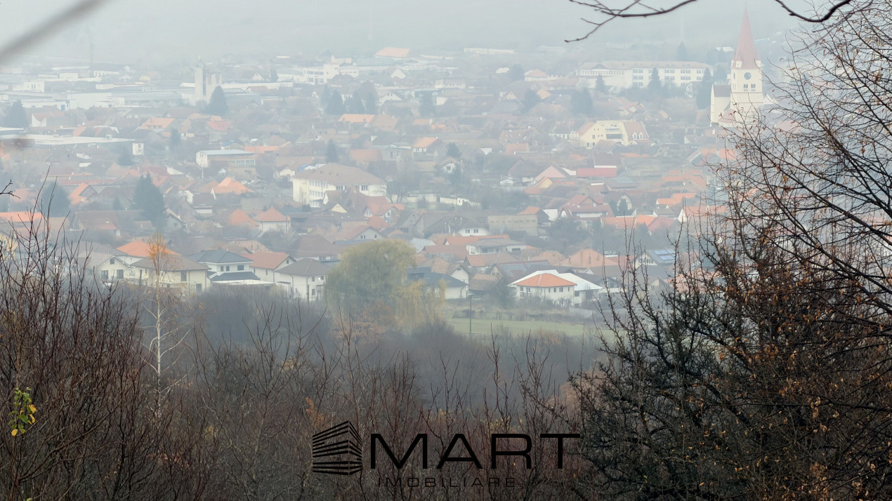 Teren spectaculos 3,5HA zona Cisnadioara