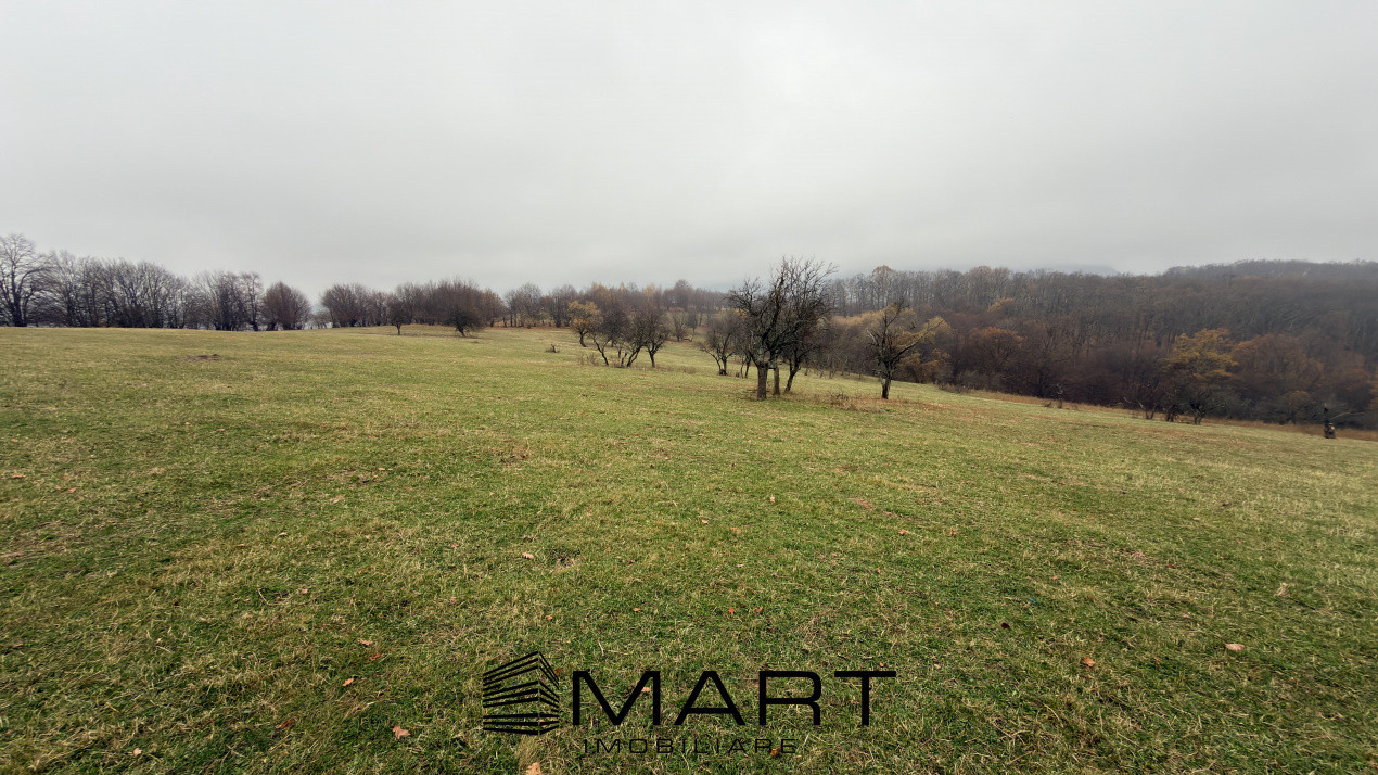 Teren spectaculos 3,5HA zona Cisnadioara