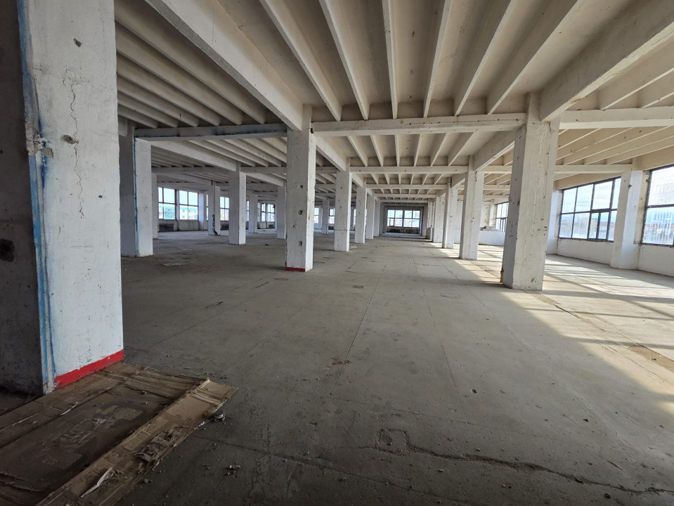 Hala industriala in Turnisor