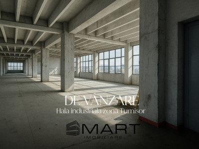 Hala industriala in Turnisor