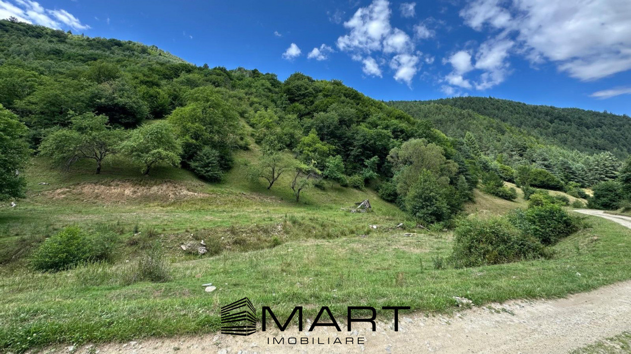 Teren intravilan 8500mp Rasinari