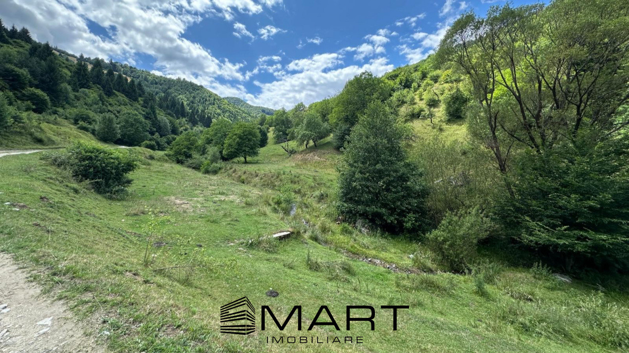 Teren intravilan 8500mp Rasinari