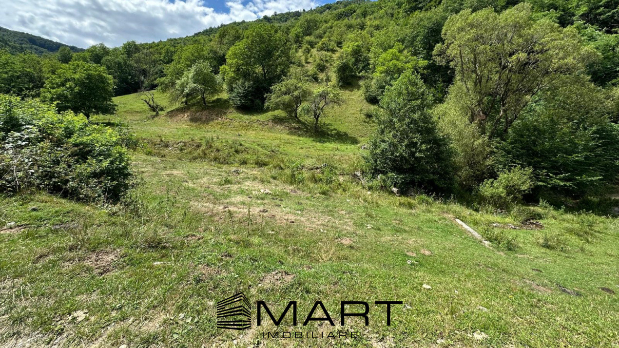 Teren intravilan 8500mp Rasinari