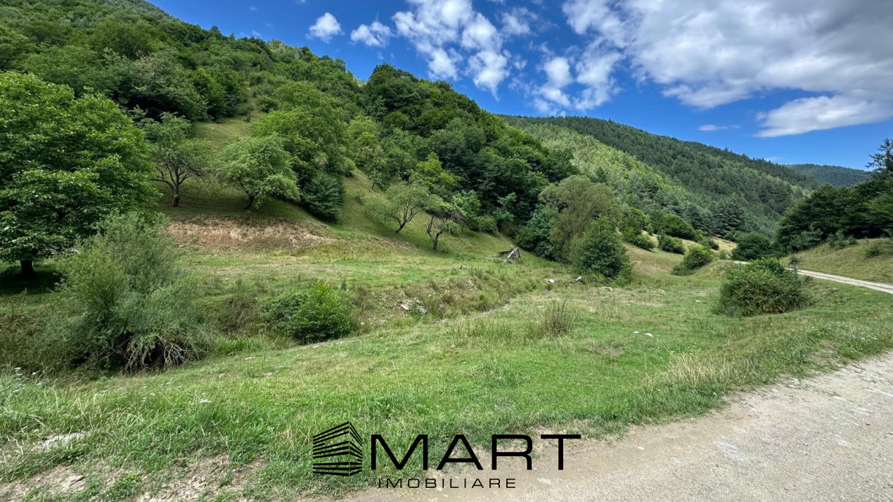 Teren intravilan 8500mp Rasinari