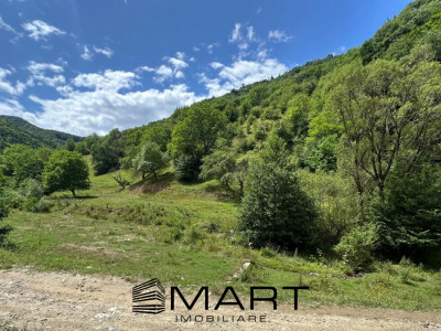 Teren intravilan 8500mp Rasinari