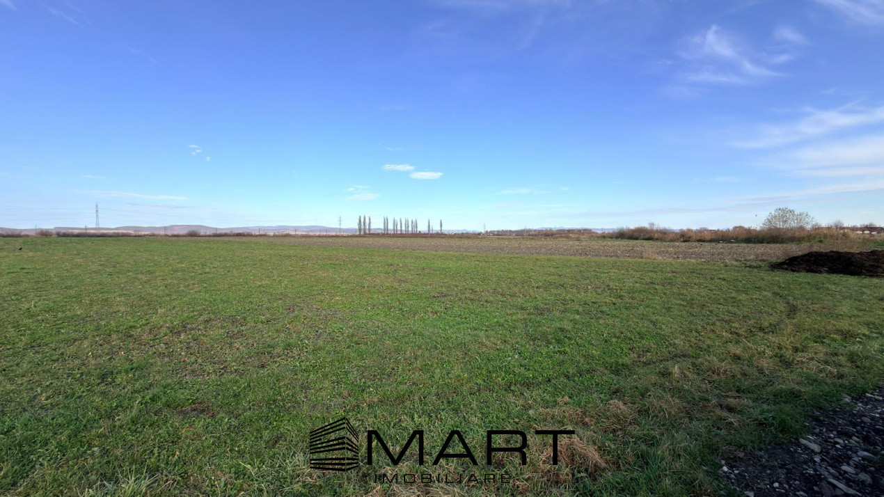 Teren Extravilan 15.000 mp Prejmer