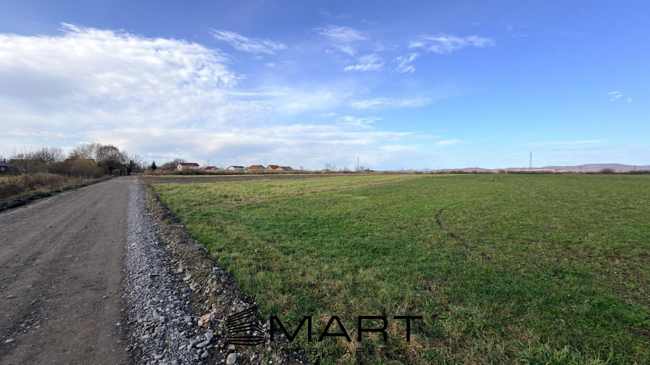 Teren Extravilan 15.000 mp Prejmer