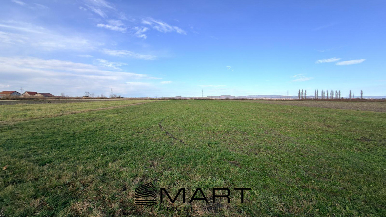 Teren Extravilan 15.000 mp Prejmer