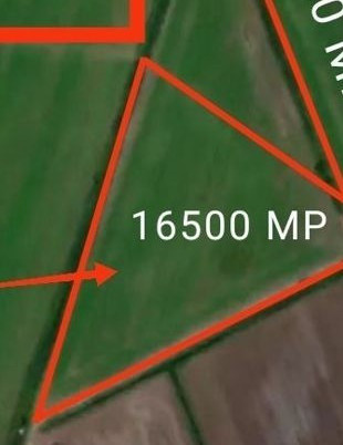 Teren Intravilan 16.500 mp Bod