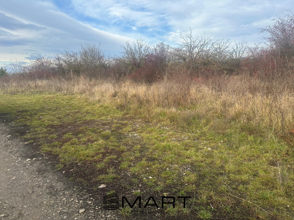 Teren Intravilan 1105 mp Sanpetru 