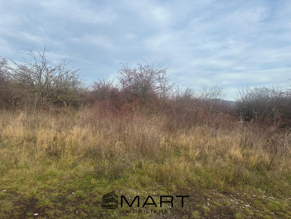 Teren Intravilan 1105 mp Sanpetru 