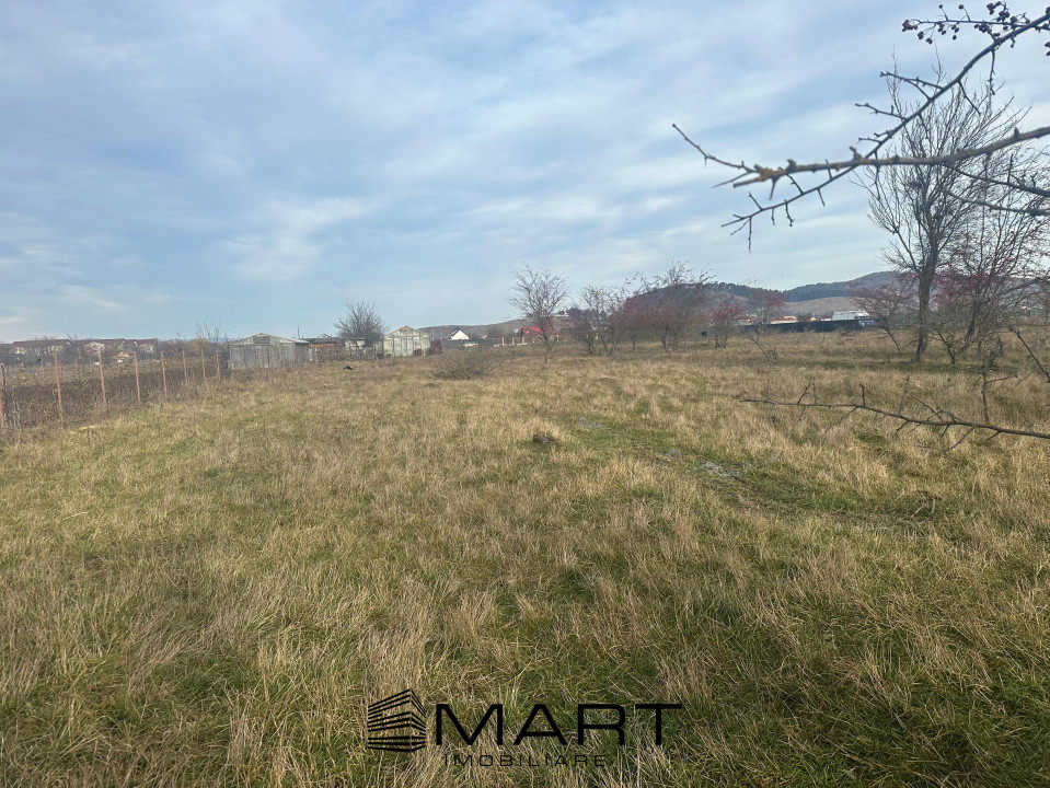 Teren Intravilan 865 mp Sanpetru