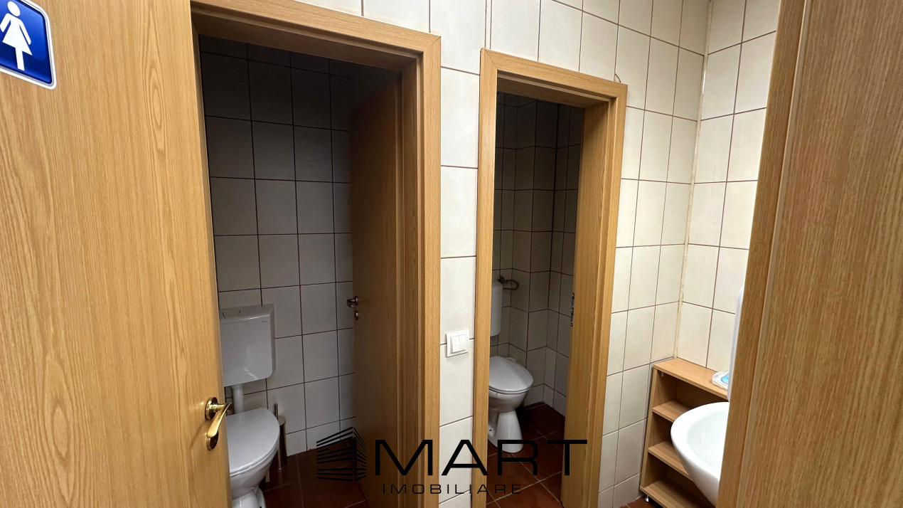 Spatiu birouri 250mp Calea Dumbravii