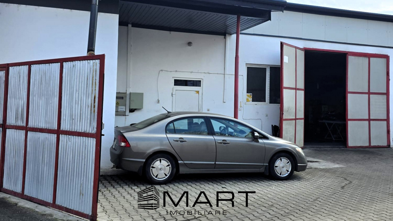 Hala 200mp zona Lazaret