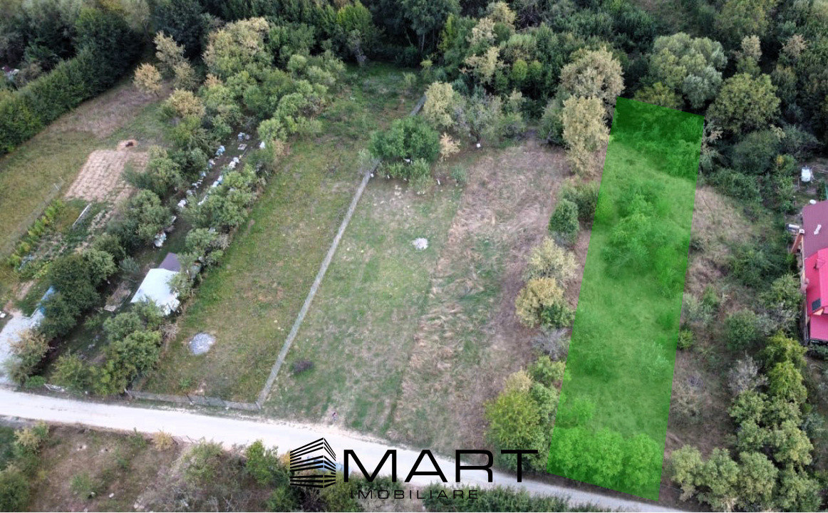 Teren intravilan 1000mp Tropinii Noi