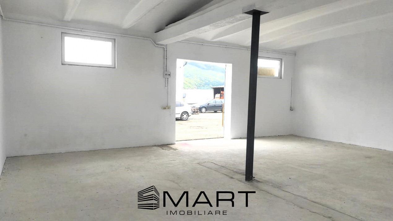 Hala industriala de 127 mp utili