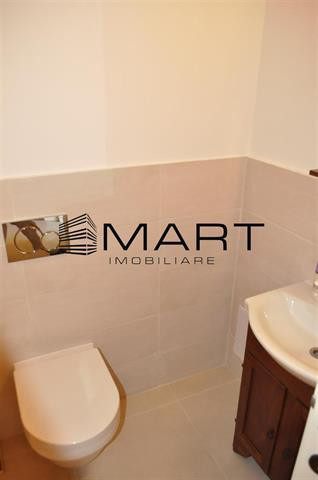 Casa de lux zona Calea Dumbravii