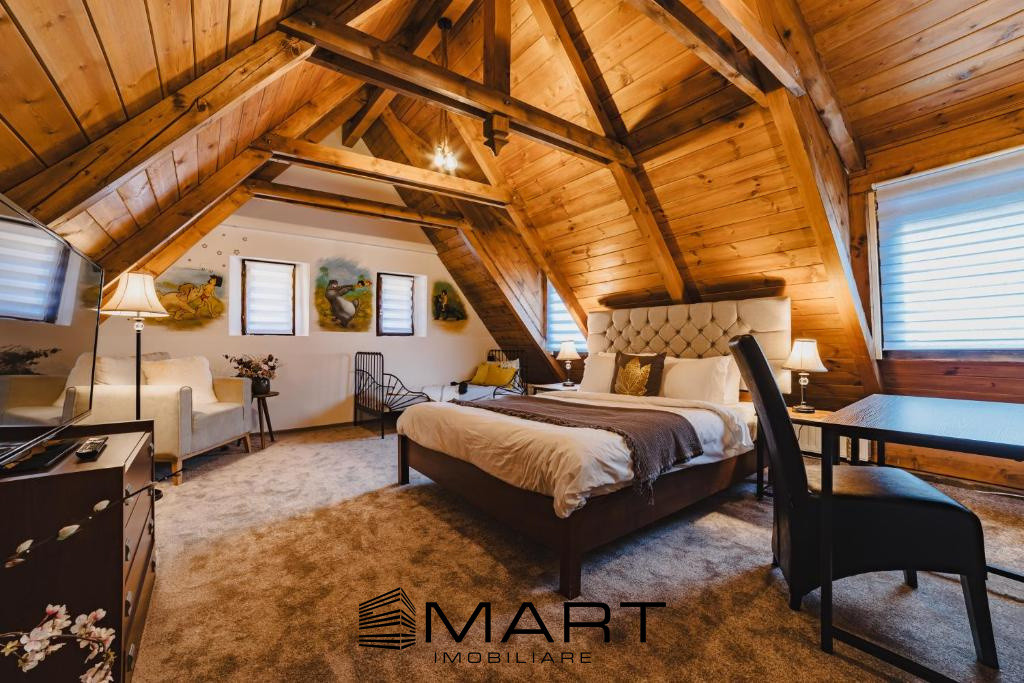 Oportunitate excelentă în Centrul Istoric 